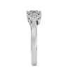 ecomposer-metal type-platinum