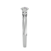 ecomposer-metal type-platinum