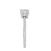 ecomposer-metal type-platinum