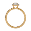 ecomposer-metal type-yellow-gold
