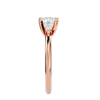 ecomposer-metal type-rose-gold