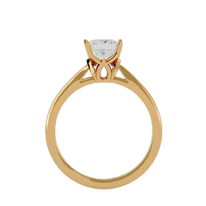 ecomposer-metal type-yellow-gold
