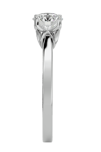 ecomposer-metal type-platinum